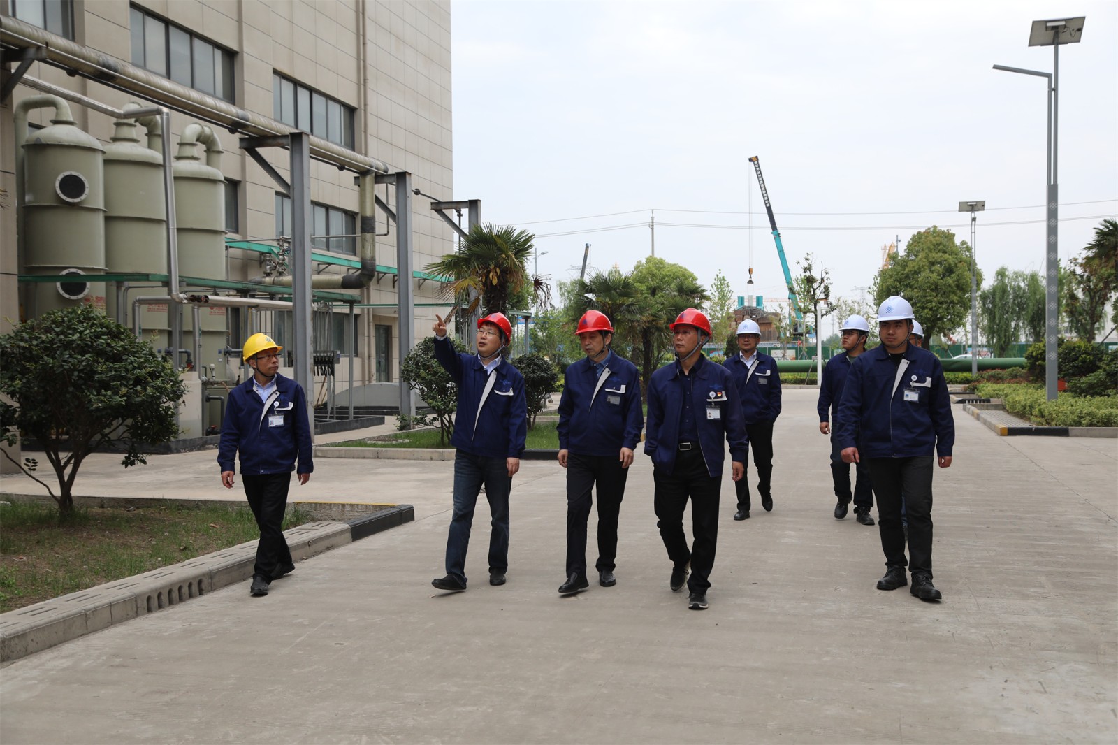 IMG_2174.jpg IMG_2174.jpg